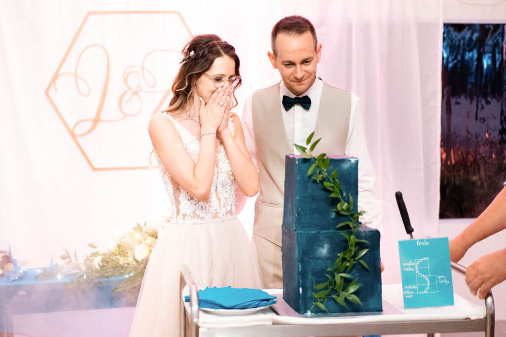 Extrem blaue Hochzeitstorte. Die Hände der Braut und des Bräutigams sind von dem Anblick überrascht. Hochzeitsfotograf Wien